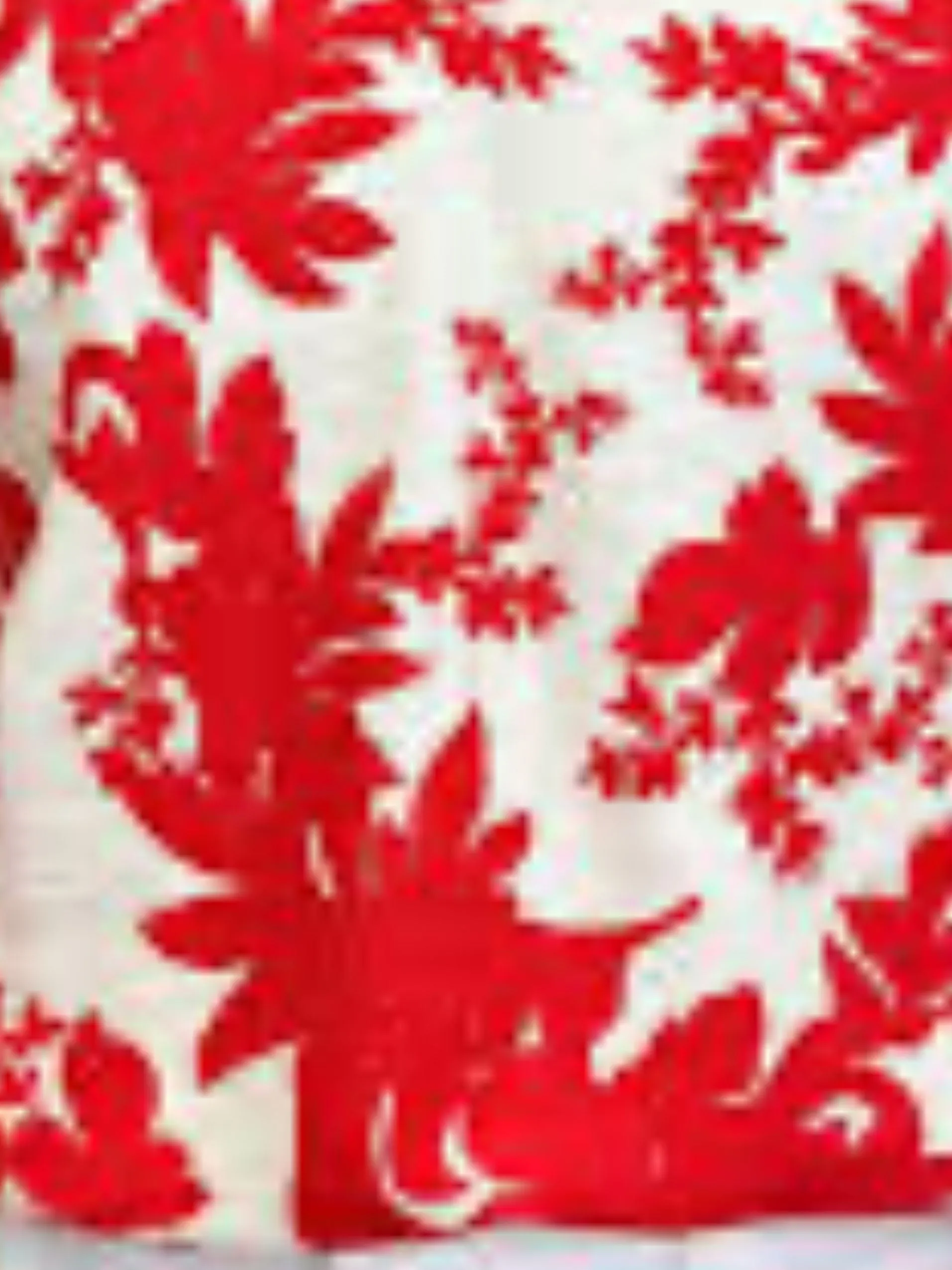 Amour Floral