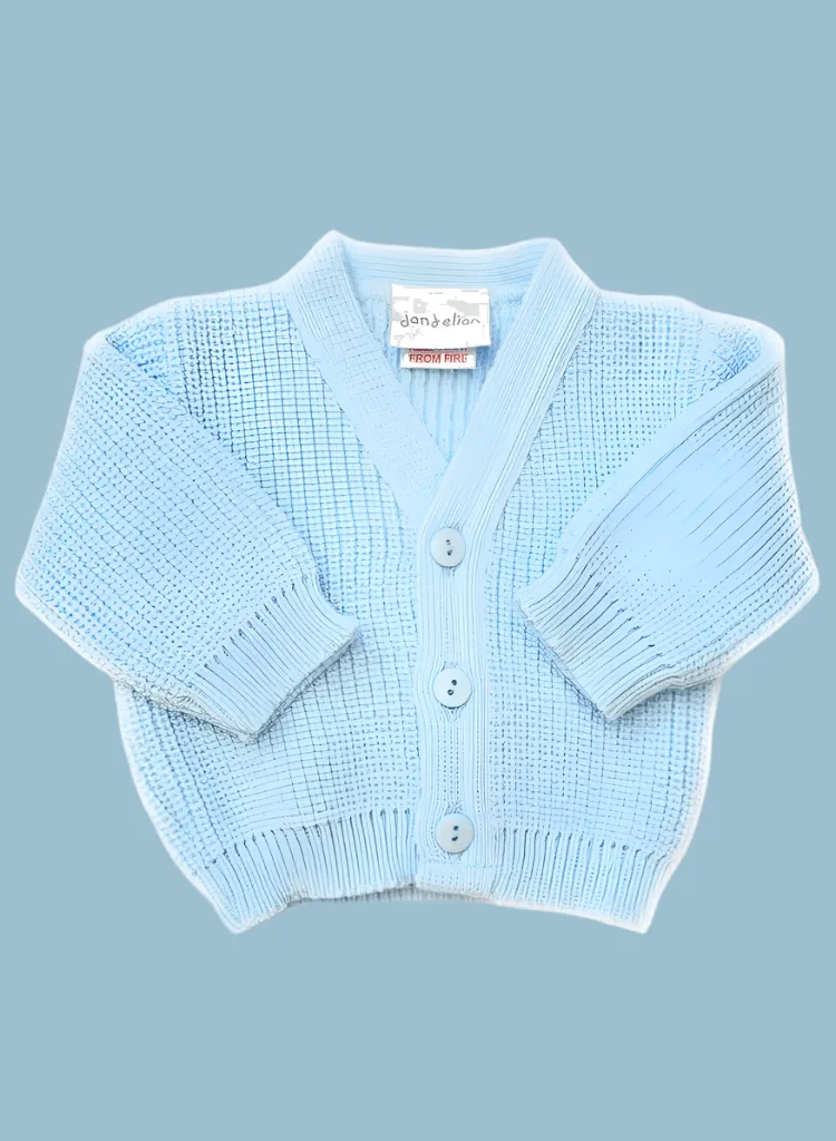 Blue Cardigan