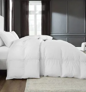 Cardigan Down Comforter by Sferra