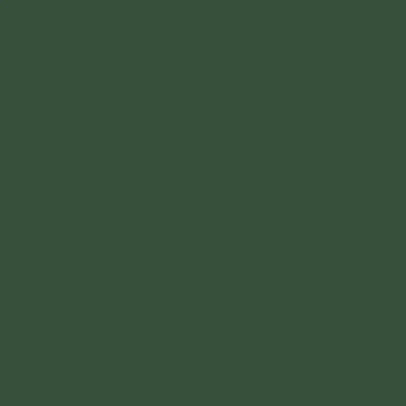 More Than A Fling by DUNS Bodysuit - Greener Pastures Dark Green