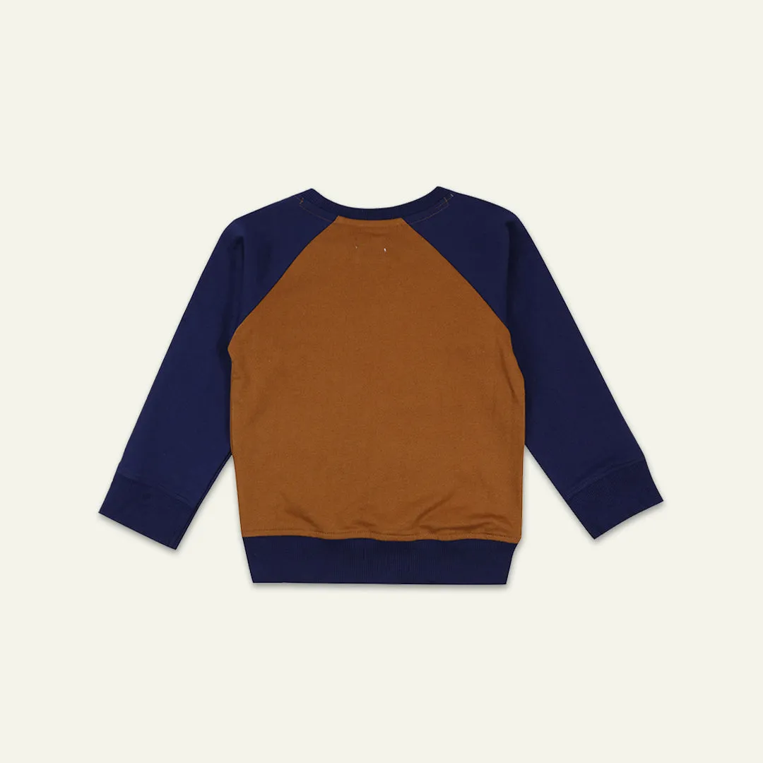 Multicolored Dinosaur Print Sweatshirt