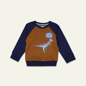 Multicolored Dinosaur Print Sweatshirt