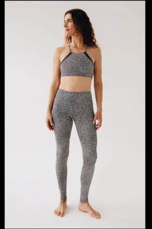 Night Sky Mesh Panel Medium Impact Bra