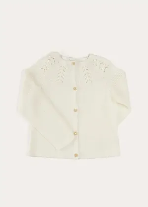 Openwork Cotton Cardigan in Cream (6mths-10yrs)