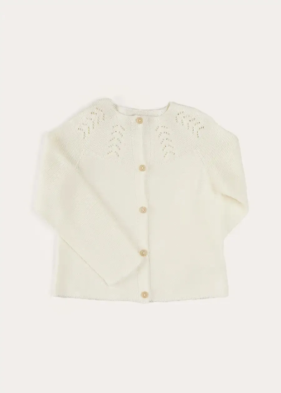 Openwork Cotton Cardigan in Cream (6mths-10yrs)