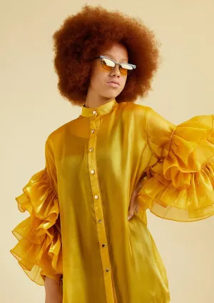 Sheer Drama Sleeve Button Up