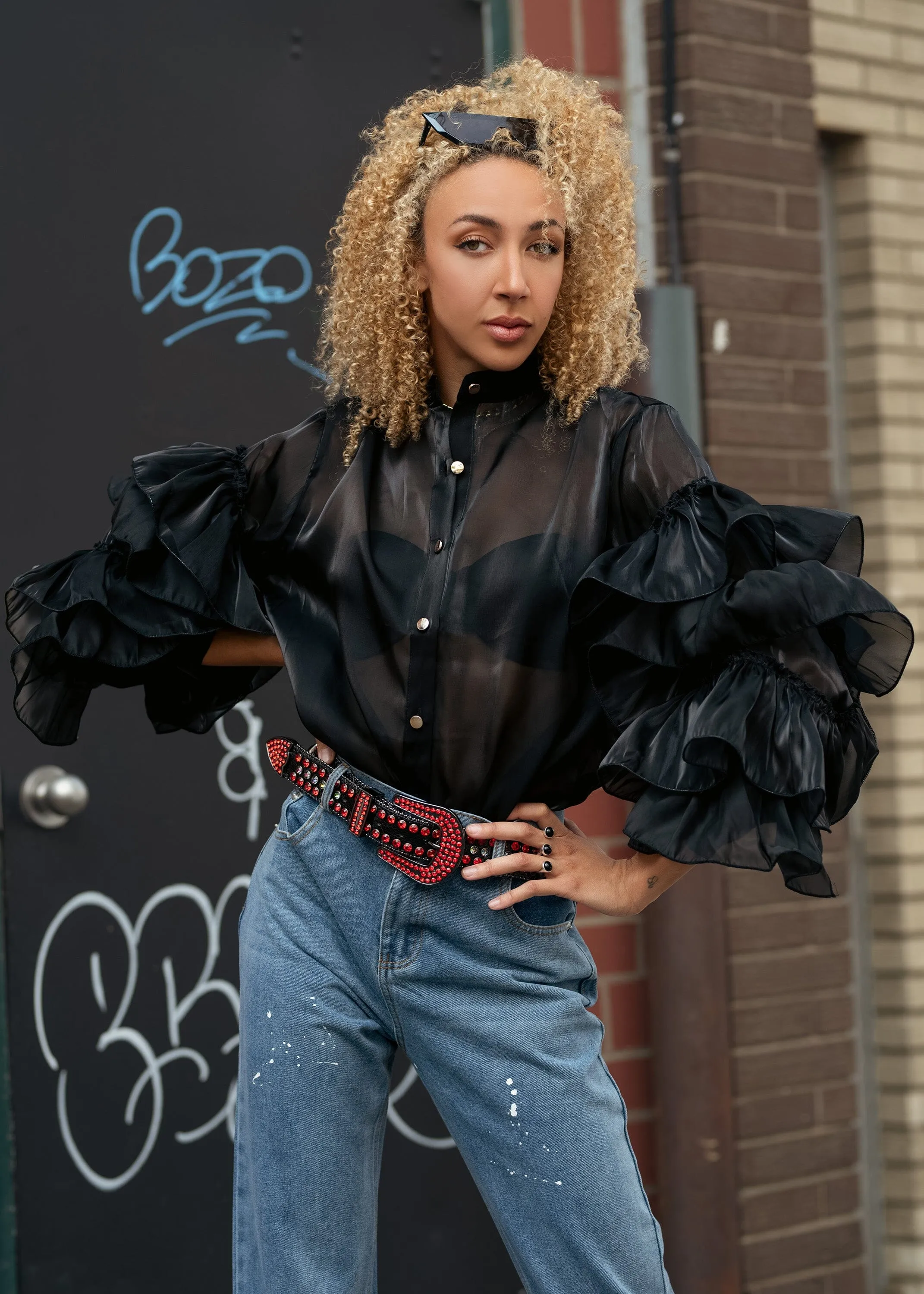 Sheer Drama Sleeve Button Up