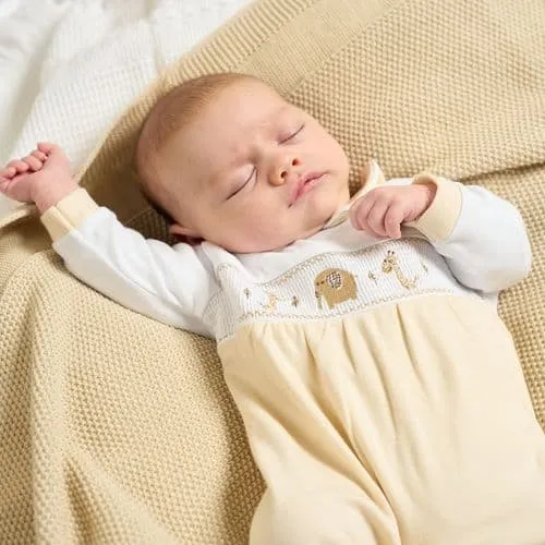 Taupe Jungle Friends Cotton Sleepsuit